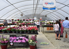 The location at Speedling.